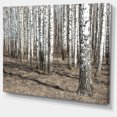 thumbnail image 2 of Belle Vue de Forêt de Bouleaux Dense - Art Moderne sur Toile de Forêt, 2 of 4