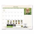thumbnail image 7 of Puppies Monthly Desk Pad Calendar, Puppies Photography, 22 x 17, White Sheets, Clear Corners, 12-Month (Jan to Dec): 2026 | Bundle of 5, 7 of 7