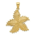 thumbnail image 1 of FB Jewels 14K Yellow Gold Starfish 2D Pendant, 1 of 4