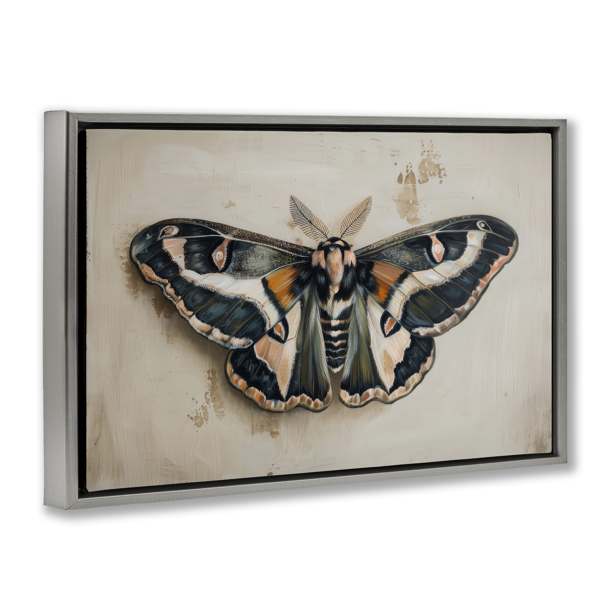 Stupell Industries Dark Winged Moth Animals Painting Gray Floater Framed Canvas Art Print Wall Art, 31 x 21