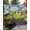 Blue, variant on Blue Boho Sun Sail Shades Rectangle Canopy,Sunlight Block Heavy Duty Curved Backyard Shade Cover,Farmhouse Bohemian Medallion Oriental Flower Waterproof Sun Shades for Patios Garden Pergola 8'x10'
