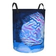 thumbnail image 2 of LNWH Laundry Basket, Underwater World Fish Pattern Foldable Laundry Hamper With Handles Waterproof, Medium, 2 of 8