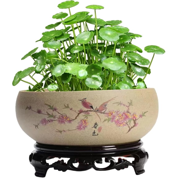 Lotus Bowls for Planting in Water Indoors, Chinese Ceramic Lotus Bowl Planter with Stand, Hydroponic Bonsai Lotus Bowl for Office Garden Indoor Outdoor, Large Bowl Planter, Planter Bowl
