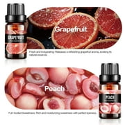 Aofmee Essential Oils Set, Rosemary Oil - Coconut, Orange Variety of Scents, for Use with Diffuser Oil, Aromatherapy, Relaxation, Candle Making Kit (6 X 10ML)