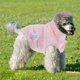thumbnail image 3 of Abrigo de invierno y otoño para gatos y perros, ropa cálida para mascotas, disfraz de invierno para perros y gatos (XL), 3 of 7