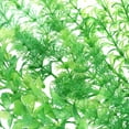 thumbnail image 6 of Penn Plax  Plastic 16-inch Aquarium Plants, 3-Count Pack, Green, Small 16", 6 of 9