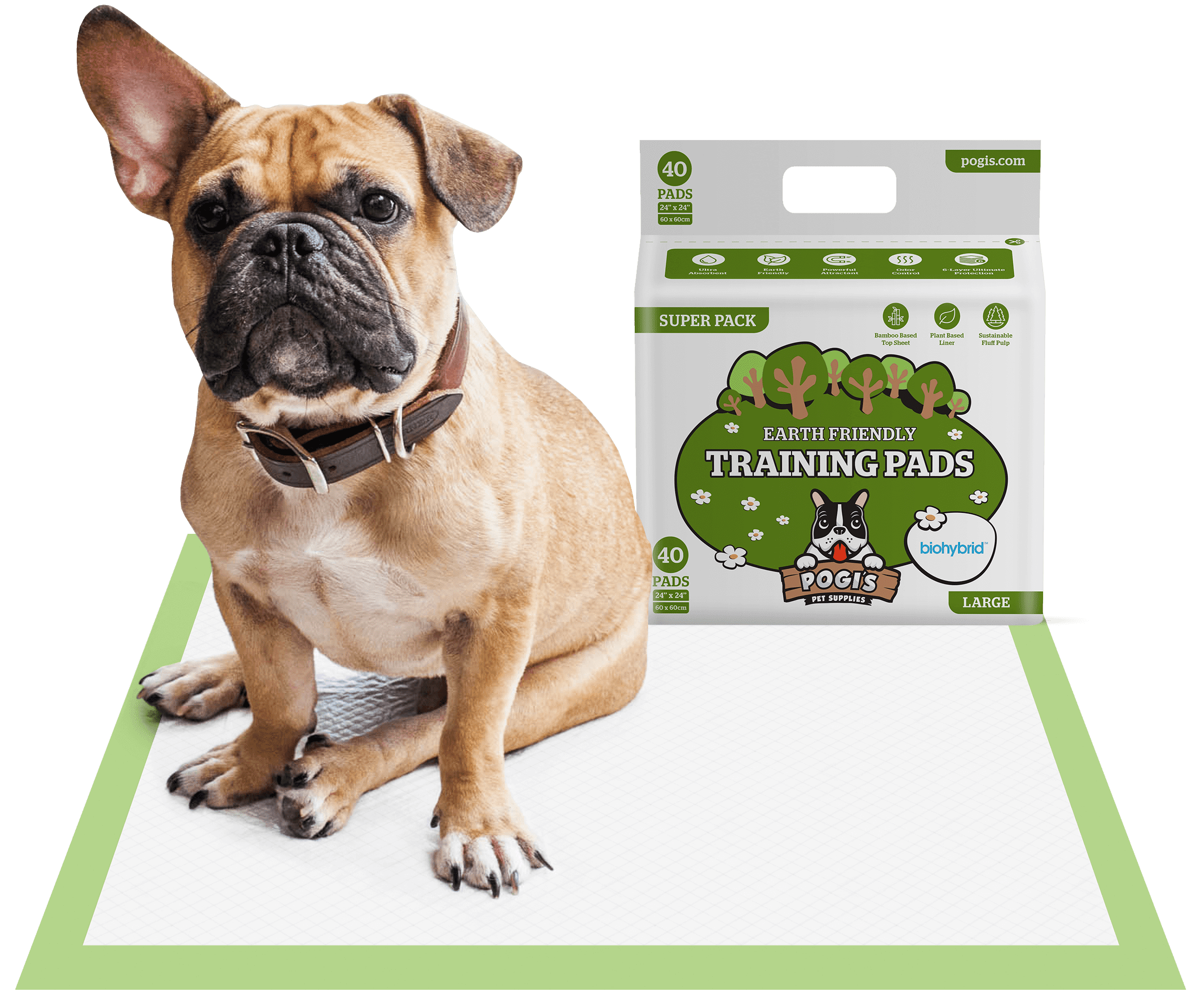 My Dog Keeps Missing The Pee Pad lupon.gov.ph