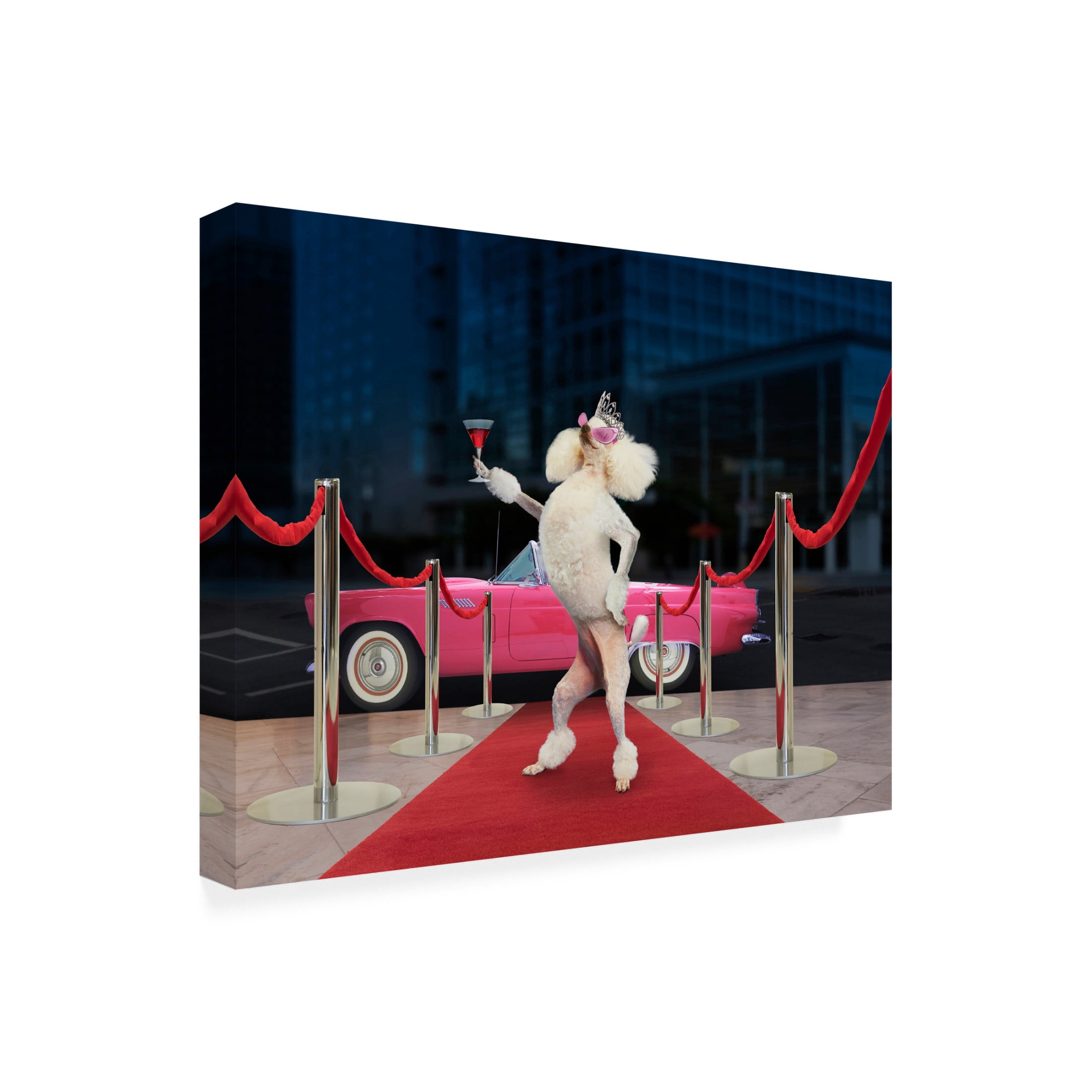 Canvas Wall Art - Lund Roeser 'Poodle Premier' Wall Art for Living Room, Bedroom, or Office Décor by Trademark Fine Art - 19 x 14 Inches
