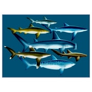 Angle View: Concord National Geographic Photographic Rugs - Sharks - 2.58 x 4.08 ft.