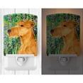 thumbnail image 2 of Carolines Treasures SS1004CNL Irish Terrier Ceramic Night Light 6x4x3" multicolor, 2 of 2
