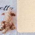 thumbnail image 4 of Homoyoyo 2Set Washable Dog Mat Cotton Light Yellow Absorbent for Outdoor Use, 4 of 5