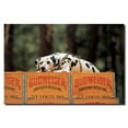 thumbnail image 2 of Trademark Fine Art "Clydesdale Dalmatian Resting on Budweiser Case" Canvas Art, 2 of 2