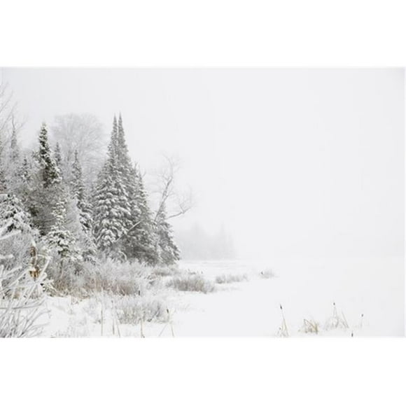 Posterazzi DPI12290995 Snowy Winter Scene in The Algonquin Provincial Park - Ontario Canada Poster Print by Geoff George, 19 x 12