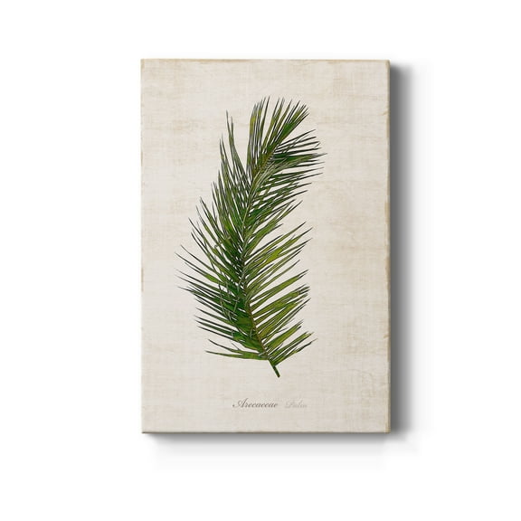Palm Botanical II Premium Gallery Wrapped Canvas - Ready to Hang - 8 x 12