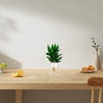 thumbnail image 4 of MOVTOTOP 1Set Small Plastic Fish Tank Ideal for Office Use and Shop Display, 4 of 7