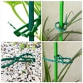 thumbnail image 4 of 120 piezas de correas para árboles de jardín, hebillas para plantas trepadoras, hebillas de fijación para plantas de vid, 4 of 6