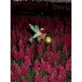 thumbnail image 7 of 2Pcs Spring & Summer Solar Outdoor Garden Lights, Hummingbird Animal Statue & Hanging Lantern, IP65 Waterproof, Perfect for Yard, Patio & Party Decor, 7 of 7
