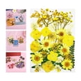 thumbnail image 5 of natural Mixed Dried Pressed Flowers for Wedding Invitations, Envelopes, Bookmarks, Table Decorations, , - Yellow, 5 of 10