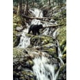 thumbnail image 2 of Tift, Jeff 23x32 Gold Ornate Wood Framed with Double Matting Museum Art Print Titled - Bear Creek Crossing, 2 of 4