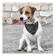thumbnail image 3 of Collar Ajustable Para Cachorro Y Gato En Forma De Pañuelo, 3 of 3