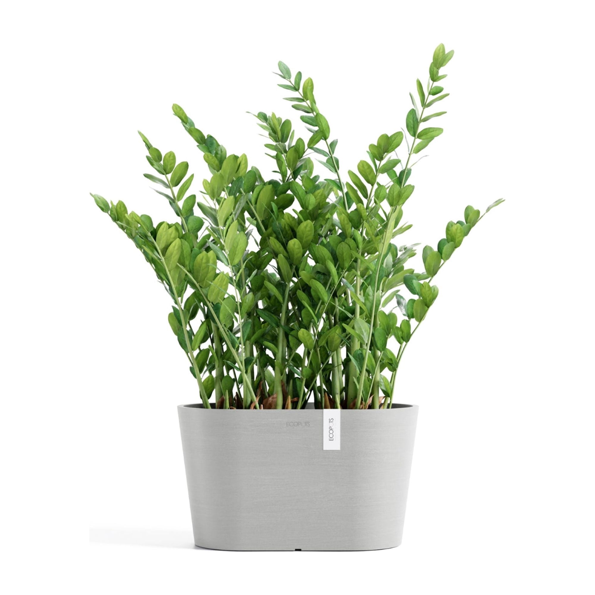 Ecopots 12" x 6.5" x 6.5" Oval White Grey Plastic Planter Flower Pot with UV Resistance