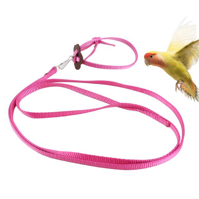 Arnés de Pájaros Loro Correa de Correa Ajustable Pájaros Antibite Nylon Cuerda Para Abrenamiento al Aire Libre