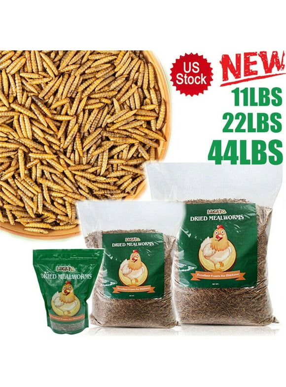 Mealworms in Bird Feed