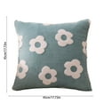 thumbnail image 2 of Funda de almohada de felpa 17.71x17.71 pulgadas Funda de cojín decorativa de café de poliéster con cremallera invisible para sofá de casa Vacaciones de uso diario lavable a máquina 1 paquete, 2 of 5