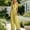 Yellow, variant on Women's Solid V Neck Sleeveless Wide Leg Jumpsuit with Pockets