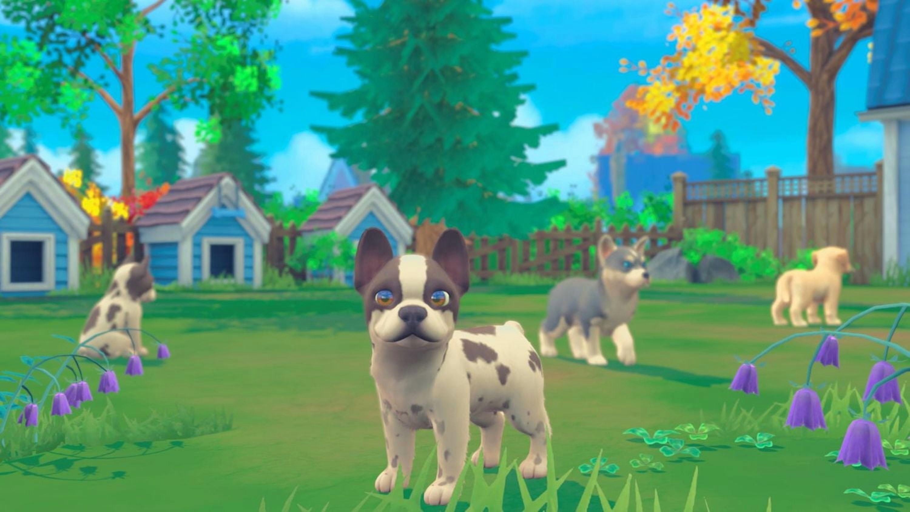 Jeu vidéo My Universe: Puppies and Kittens pour (PS4)