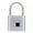 Silver 1PC, variant on Smart Fingerprint Padlock, USB Rechargeable, IP56 Waterproof, for Luggage Gym Locker