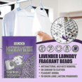thumbnail image 1 of Lavender Laundry Deodorant Beads Anti-static Deodorant Colour Care Laundry Cleaner Softene, 1 of 5