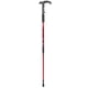 thumbnail image 1 of Alpenstock, Propicio Llamativo Ubicuo Preciso Para Interiores ANGGREK FG2717, 1 of 8