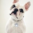 thumbnail image 3 of Dsscvnef Glitter Pet Tag Accessories for Dogs and Cats 2pcs Shiny ID Label Tags Durable Pet Name Tags, 3 of 3