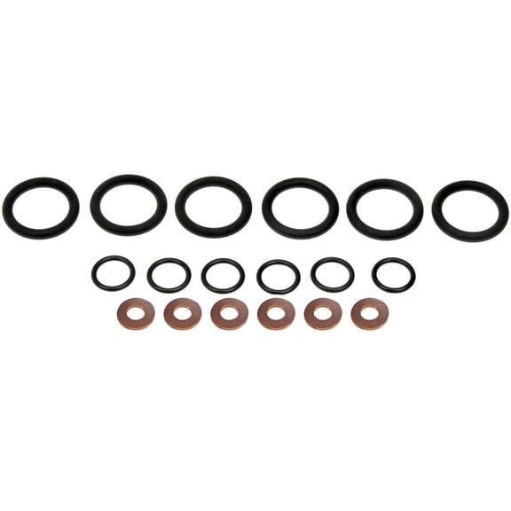 Dorman 904-313 Fuel Injector O-Ring Kit for Specific Dodge Models Fits select: 1999-2002 DODGE RAM 2500, 1999-2002 DODGE RAM 3500