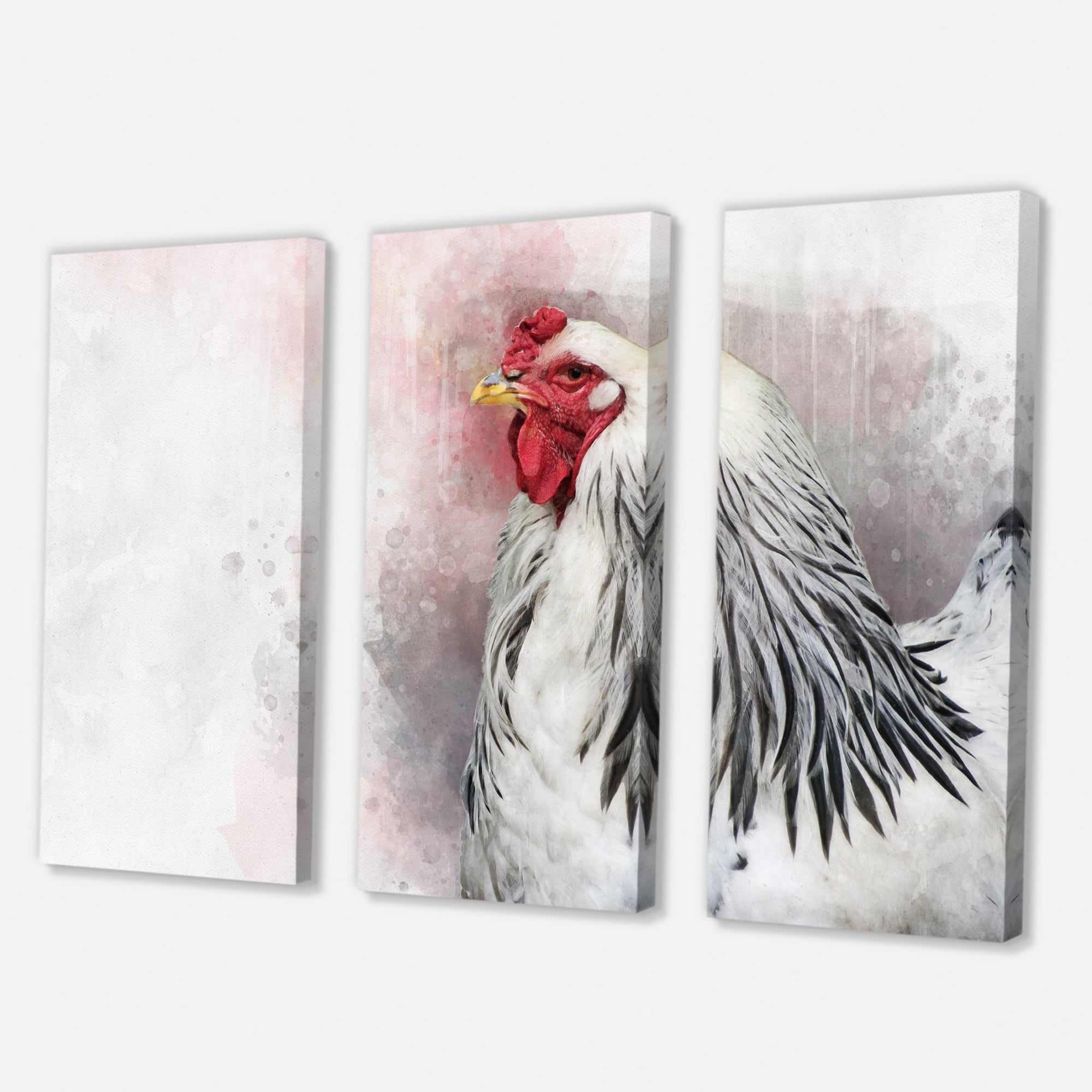 Designart ' Close Up Of White Columbia Brahma Rooster Bird ' Traditional Canvas Wall Art Print
