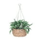 thumbnail image 1 of Ramos de casa de muñecas Higoodz 1:12 lindo multiusos Mano de Obra exquisita Mini Planta en maceta, 1 of 8