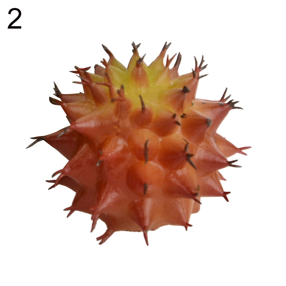 Artificial Succulents 1 Pack Premium Unpotted Succulent Plants