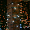 thumbnail image 3 of Novelty Lights 25FT 50 Light LED Pure White, Outdoor String Lights, Corded Electric, Dimmable, 3 of 10
