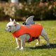 thumbnail image 2 of Dog Swimsuit Safety Swimsuit Rescuing Handle for Dog Swimming Dog Life Vest with Handle Flotation Device orange color XX, 2 of 5