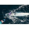 Madmacs 200mm High Speed Sinking 8" Trolling Lure for Bluefin Tuna Yellowfin Wahoo and Mahi Mahi