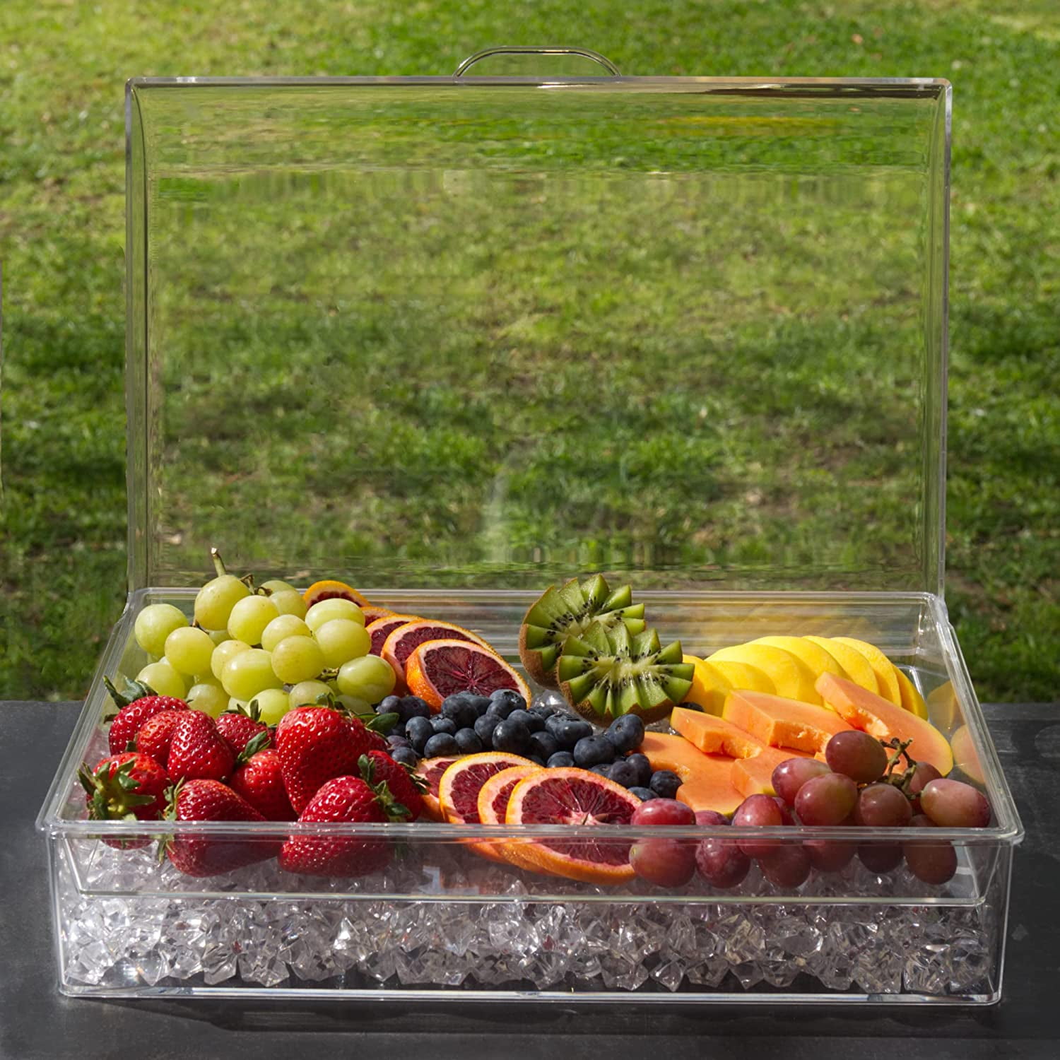 Ice Chilled Party Platter Large Removable Serving Tray and Hinged Lid