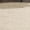 Marble/Khaki, variant on SAFAVIEH Natural Fiber Kentigern Border Seagrass Area Rug, Marble/Dark Grey, 8' x 8' Round