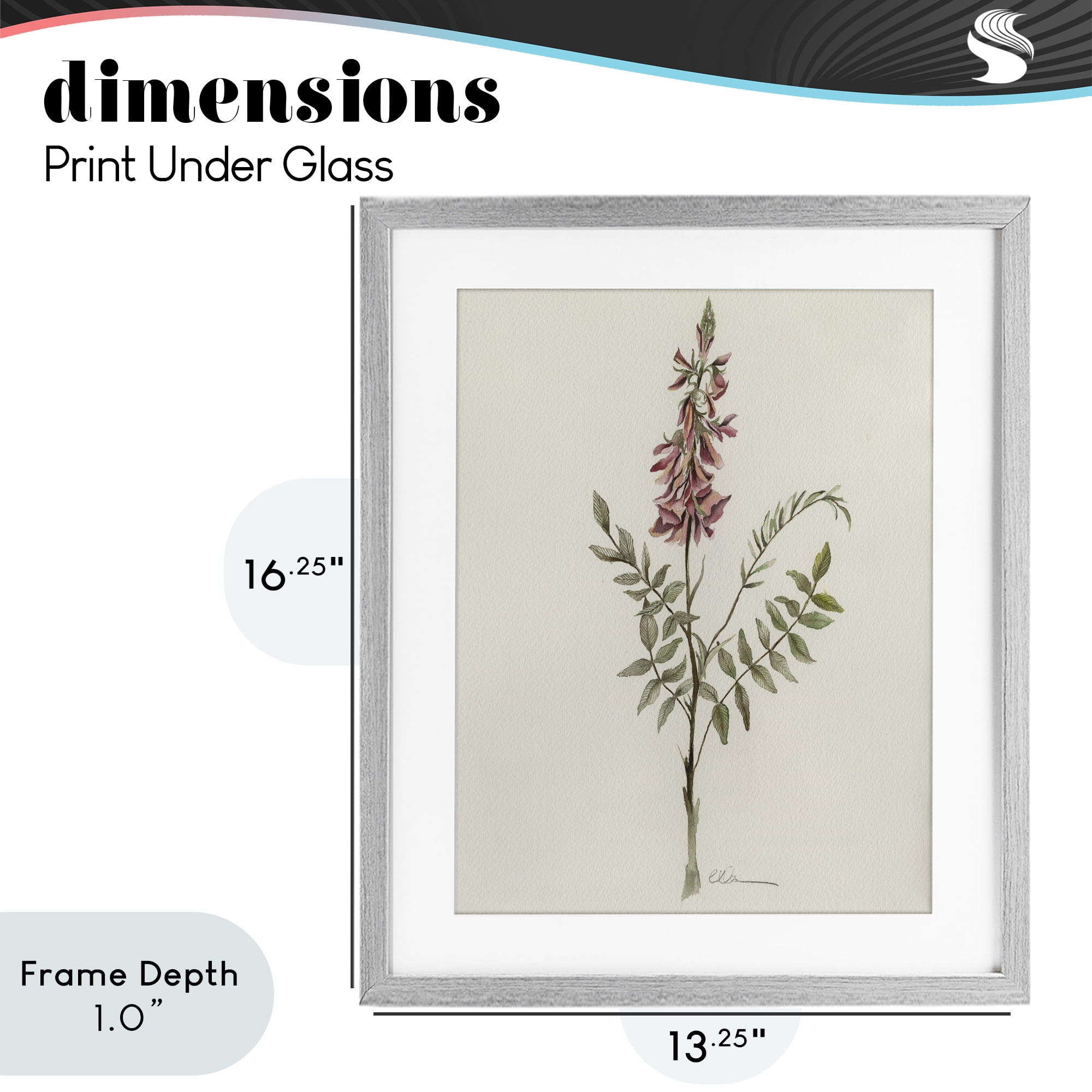 Stupell Industries Nature's Delicate Herb Sprig Gray Framed Print Under Glass, design by Cady Driver