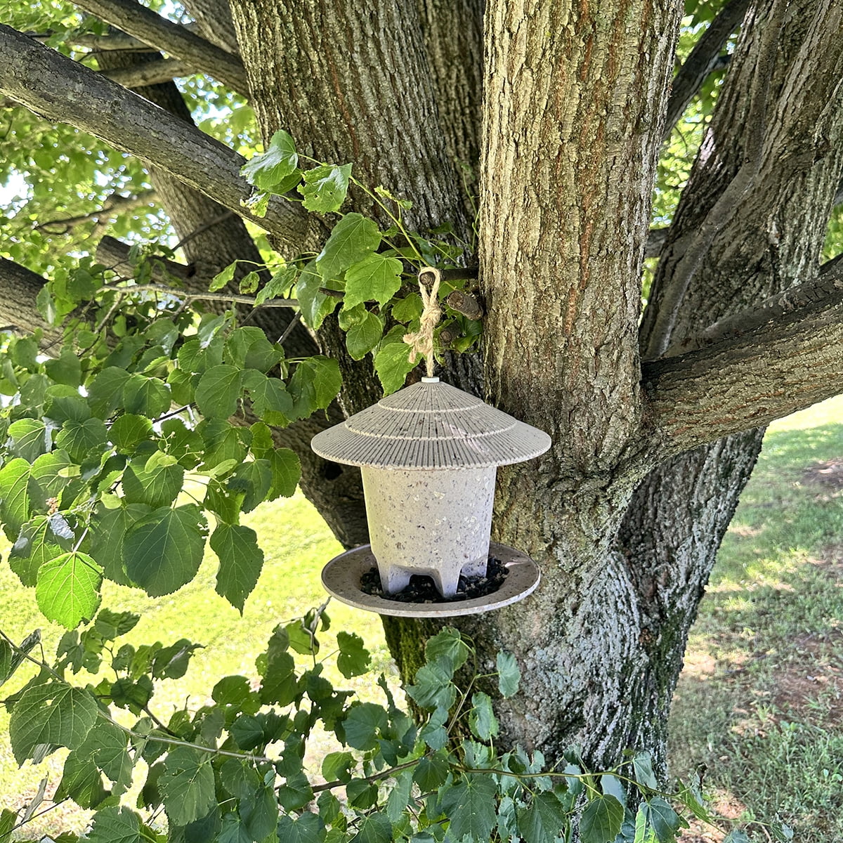 Tierra Garden Deluxe Round Bird Feeder, Coffee Husks, 8.6 in Dia x 7.5 in H