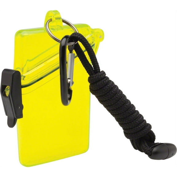 Witz See-It Safe Dry Case