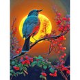 thumbnail image 1 of Pintura de diamante 5D DIY taladro redondo completo pájaro Kit arte decoración del hogar (B6101) Hugtrwg Para estrenar, 1 of 9