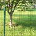 thumbnail image 3 of Black PVC Coated Welded Wire Fence 36IN x 99FT, 16 Gauge 2/3 Inch Mesh Heavy-Duty Vinyl Coated Metal Wire Fencing for Garden, Pet, Chicken & Rabbit Protection, 3 of 14