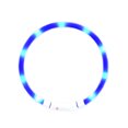 thumbnail image 1 of Youpin LED Dog Collar Glowing USB Rechargeable Pet Dog Collar, 1 of 8