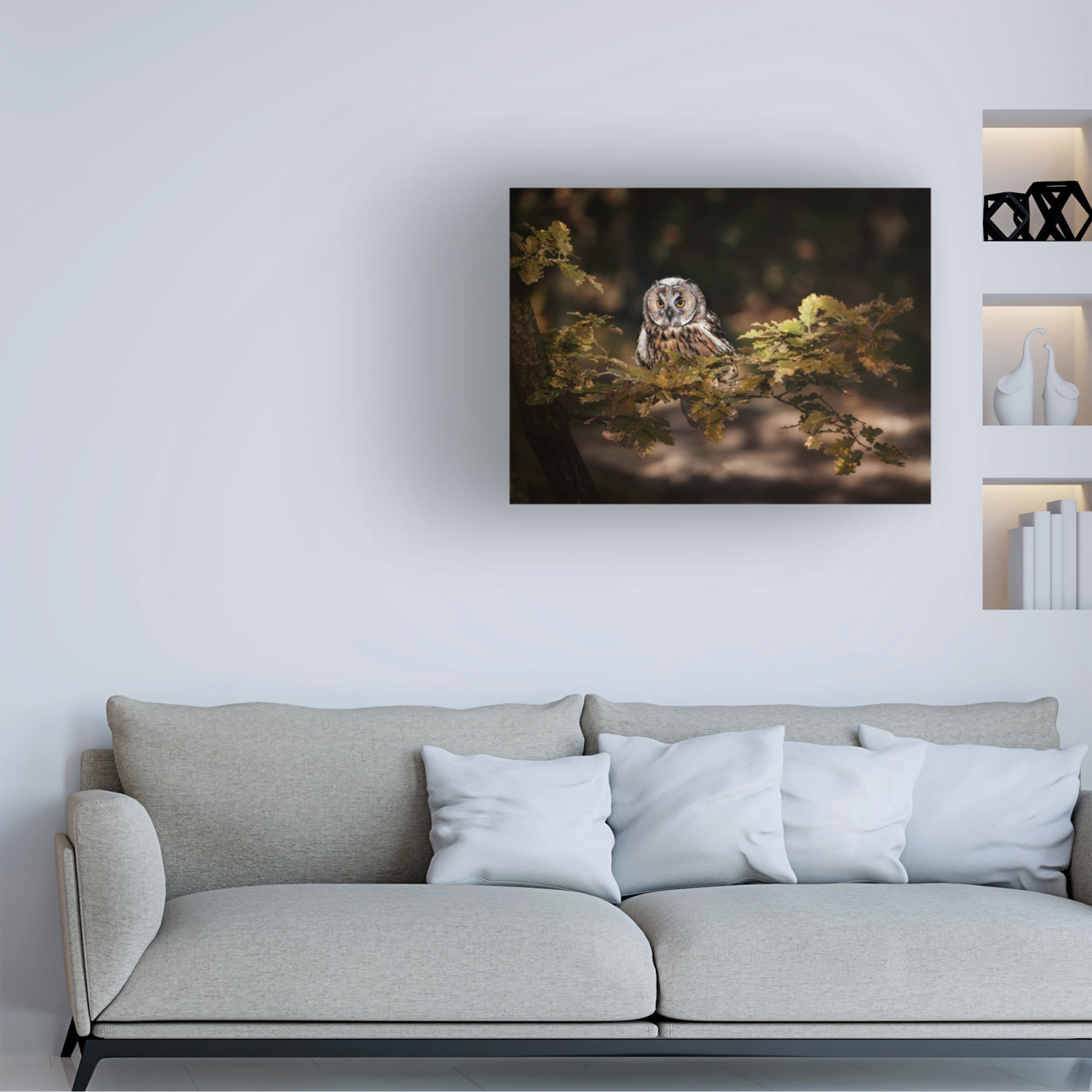 Trademark Fine Art Michaela Firesova Long Eared Owl Canvas Wall Art
